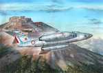 Vautor IIN "Arme de l Air"