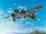 Caproni Ca.310 "Norwegian Service"