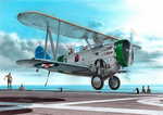 FF-1 "US Navy Two-seat Fighter"