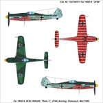  Focke-Wulf FW-190D9 „Rote 3“ 