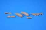 Blenheim Mk. &quot;Finish AF 1.serie&quot; 1/72 Fixed type Ski Undercarriage for Airfix