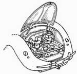 VW Beetle Engine set