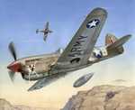 P-40F Warhawk "Short tails over Africa"