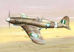 Fiat G.55A "Post War Service"