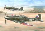 Avia B-33 Czechoslovakian Built IL-10 "Beast"