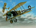 Fokker D.II "Black & White Tails"