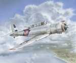 Blackburn Skua Mk.II "Silver Finish"