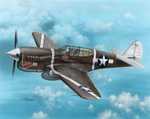 P-40F Warhawk “Guadalcanal Hawks”