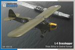 L-4 Grasshopper ‘From Africa to Central Europe’ 1/48