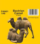 Bactrian Camel (2 pcs) 1/48