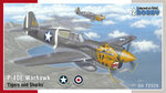 P-40E Warhawk ‘Tigers and Sharks’